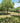THE BARN & COTTAGE, PUTTENHAM, SURREY, GU3
